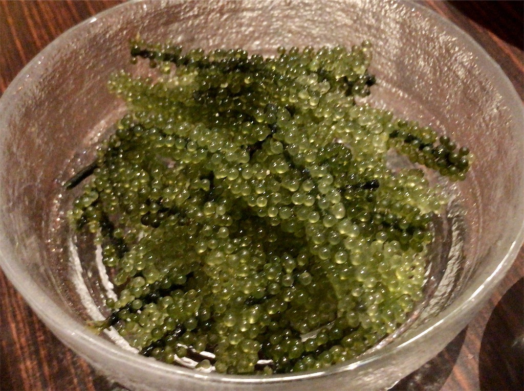 f:id:yokohamamiuken:20200207231043j:image