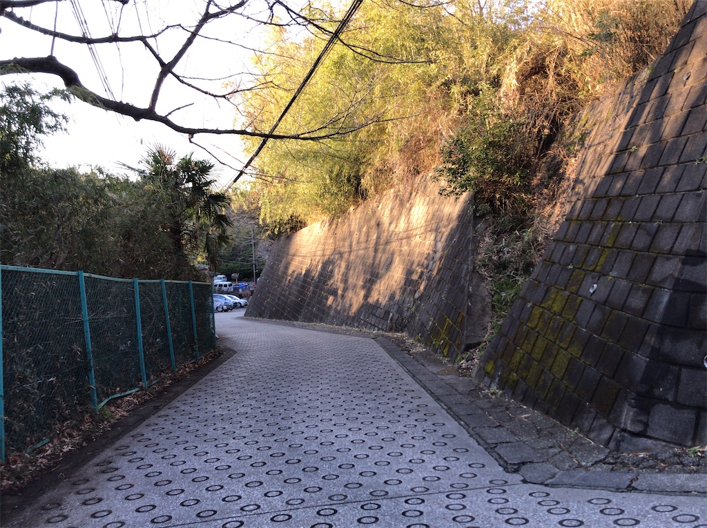 f:id:yokohamamiuken:20200213173143j:image f:id:yokohamamiuken:20200213173143j:image