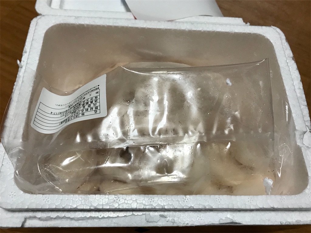 f:id:yokohamamiuken:20200312010311j:image