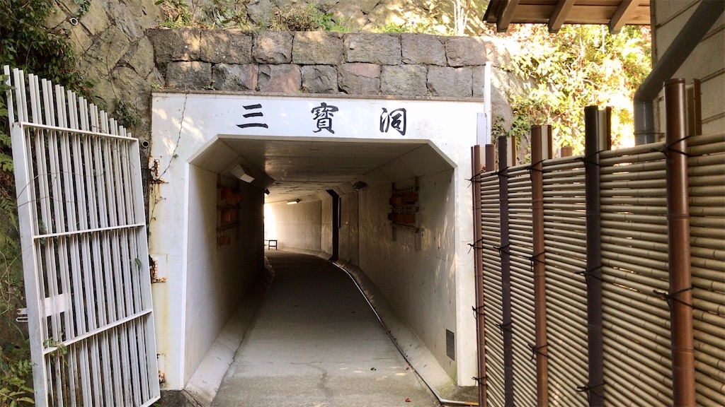 f:id:yokohamamiuken:20200317193842j:image