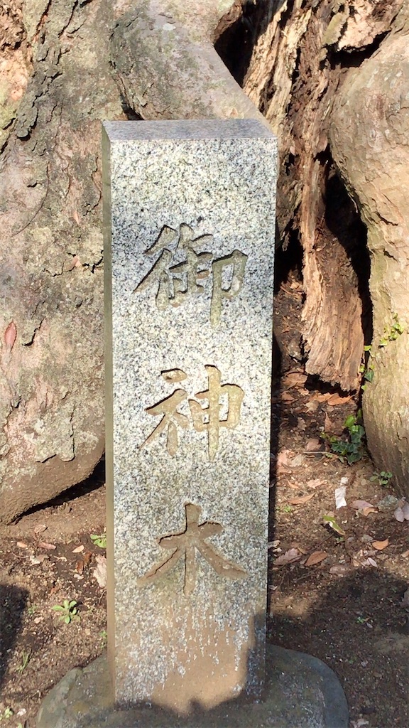 f:id:yokohamamiuken:20200317194553j:image
