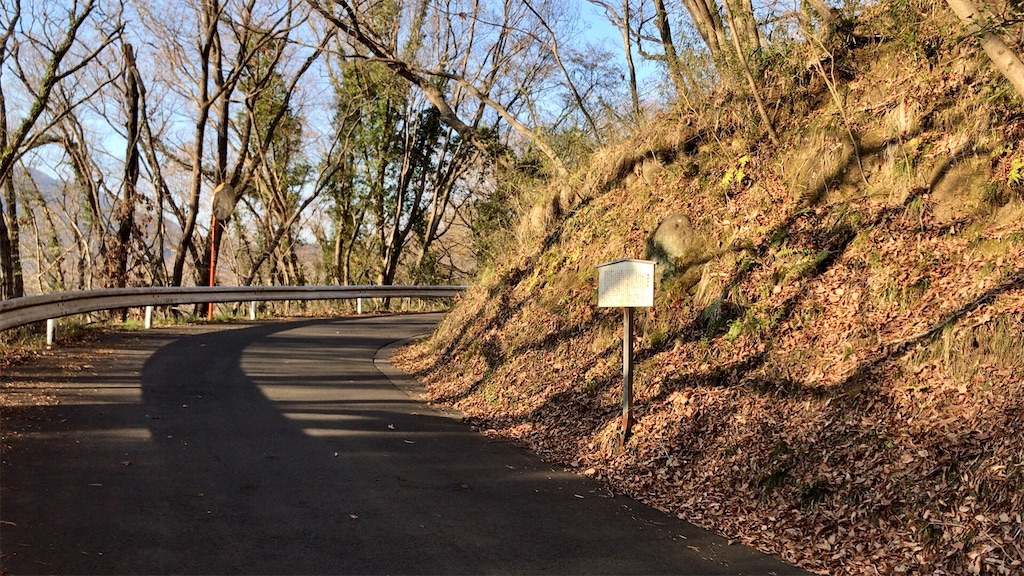 f:id:yokohamamiuken:20200317194837j:image