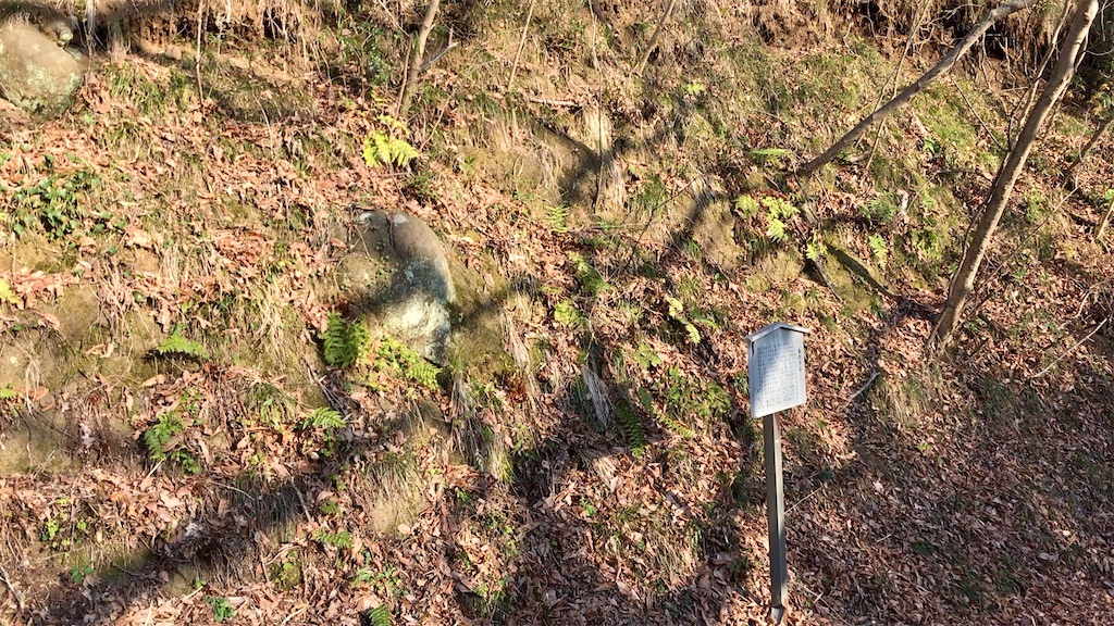 f:id:yokohamamiuken:20200317194840j:image