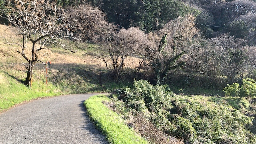 f:id:yokohamamiuken:20200317194850j:image