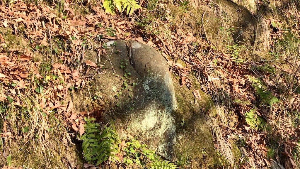 f:id:yokohamamiuken:20200317194857j:image