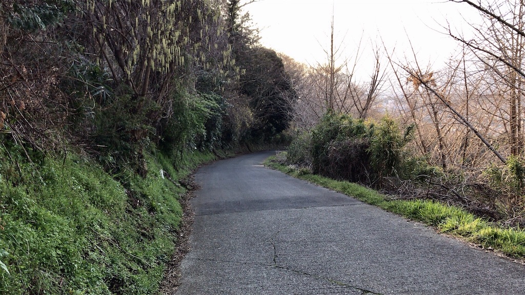 f:id:yokohamamiuken:20200317194905j:image