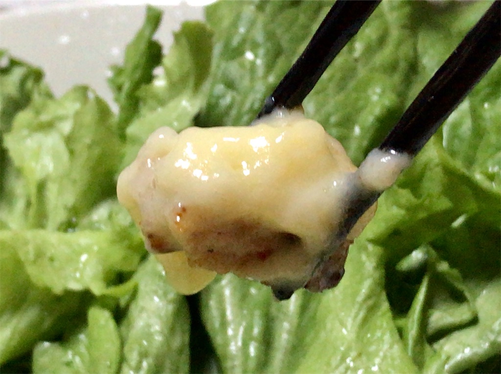 f:id:yokohamamiuken:20200323214932j:image