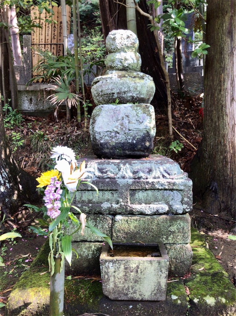 f:id:yokohamamiuken:20200414211319j:image