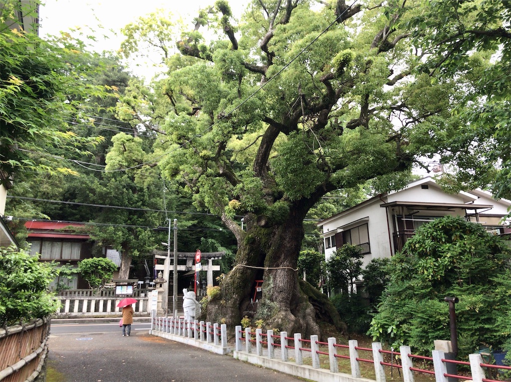 f:id:yokohamamiuken:20200521202526j:image