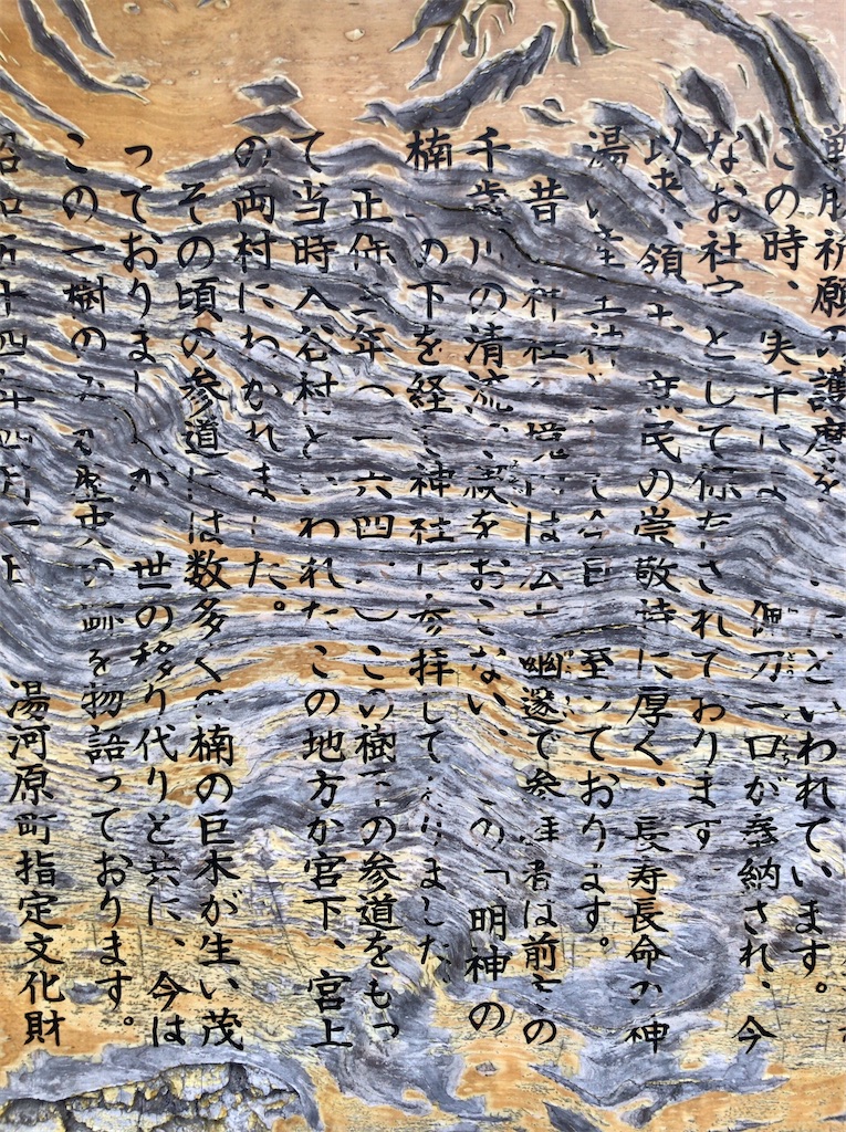 f:id:yokohamamiuken:20200521202601j:image