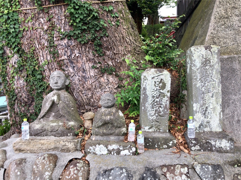 f:id:yokohamamiuken:20200521203009j:image