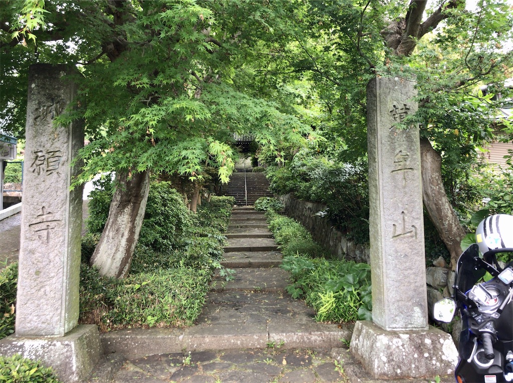 f:id:yokohamamiuken:20200521203635j:image