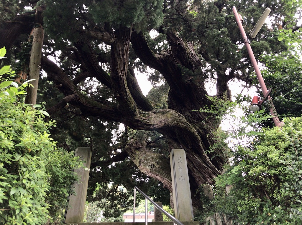f:id:yokohamamiuken:20200521203648j:image f:id:yokohamamiuken:20200521203648j:image