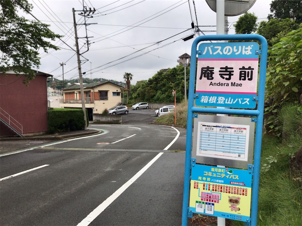 f:id:yokohamamiuken:20200521204703j:image