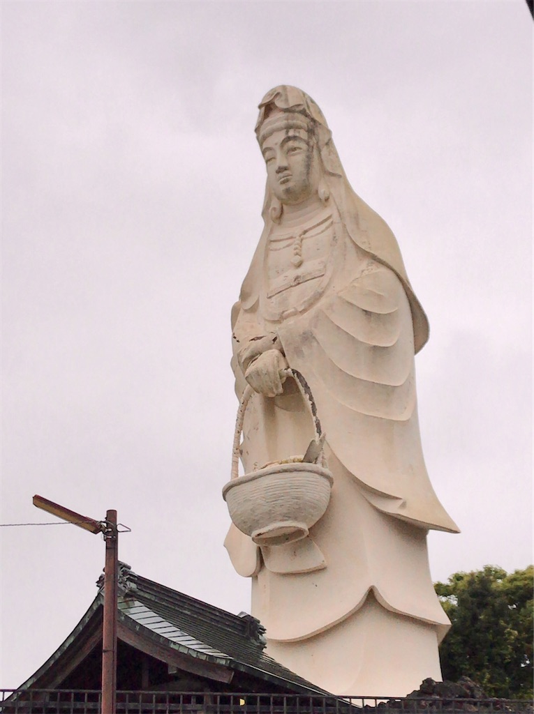 f:id:yokohamamiuken:20200521205442j:image f:id:yokohamamiuken:20200521205442j:image