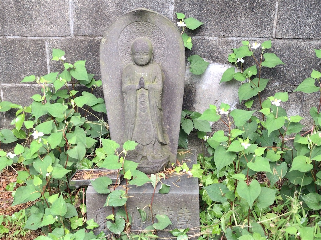 f:id:yokohamamiuken:20200523145203j:image