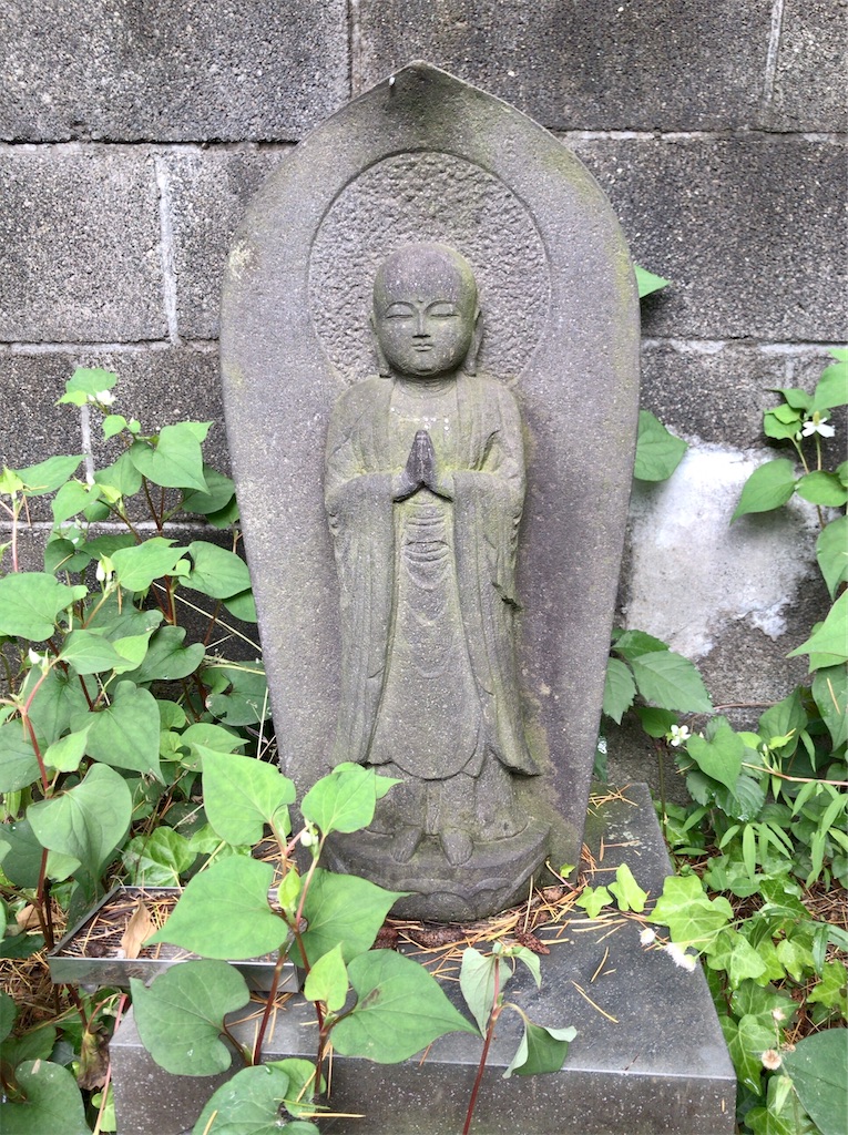f:id:yokohamamiuken:20200523145221j:image