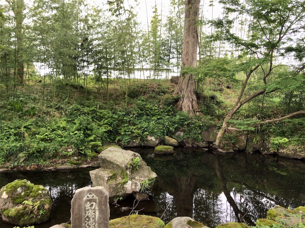 f:id:yokohamamiuken:20200523150536j:image