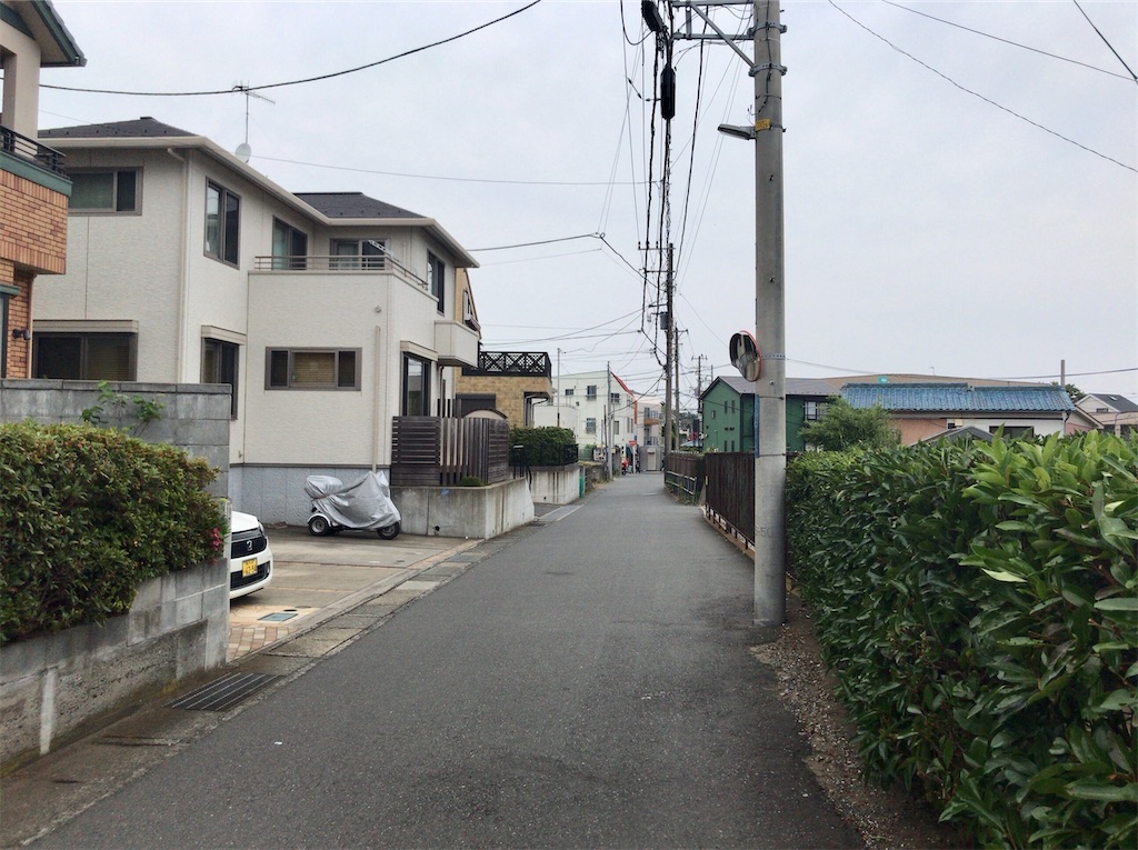 f:id:yokohamamiuken:20200603183453j:image