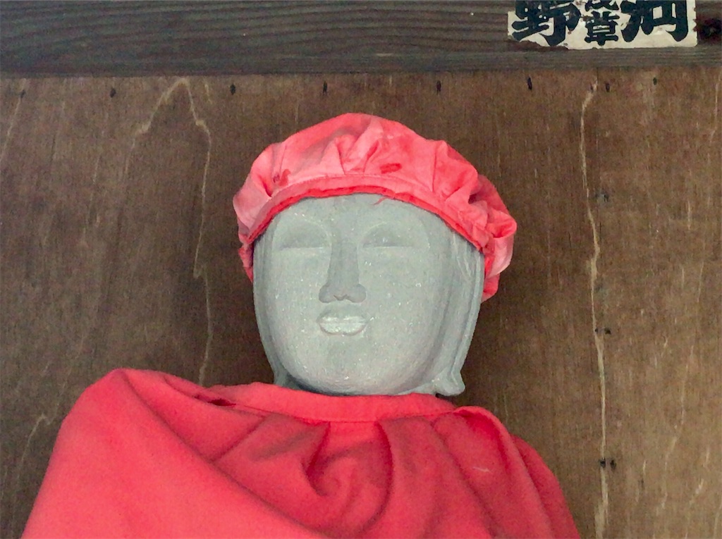 f:id:yokohamamiuken:20200603183613j:image