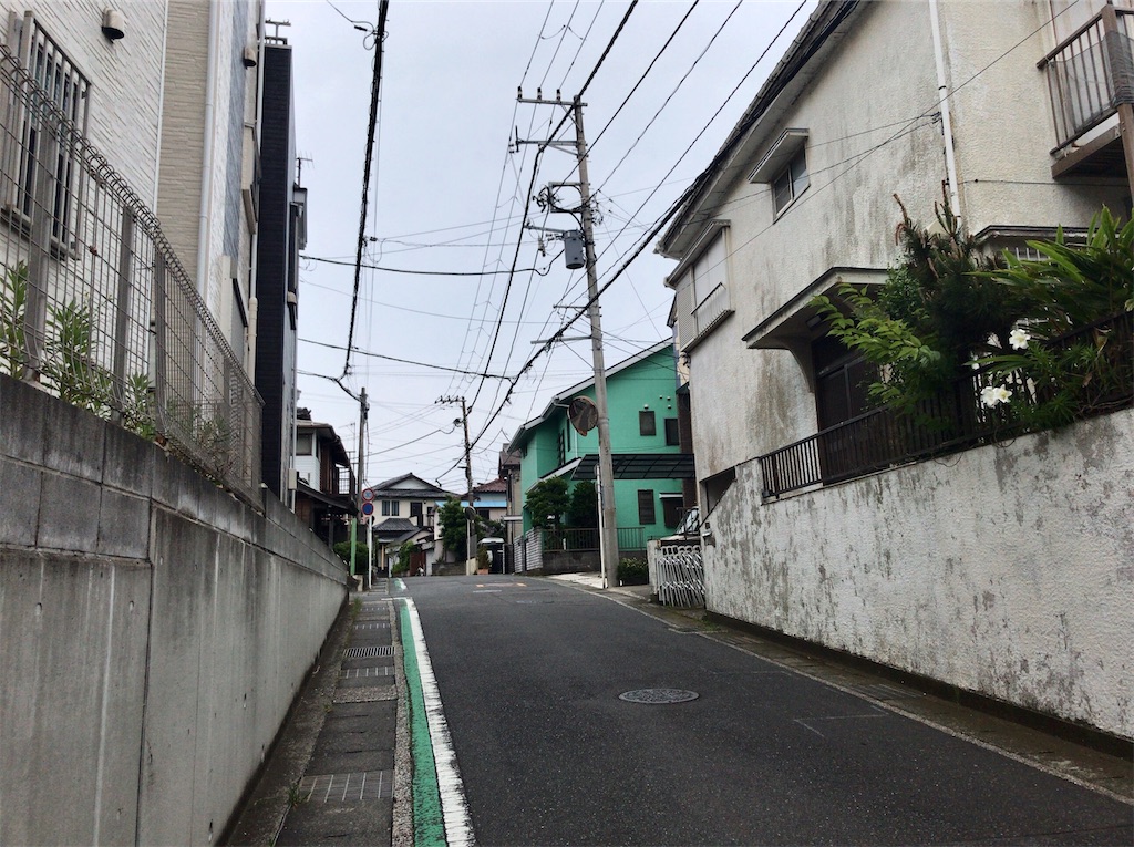 f:id:yokohamamiuken:20200603183641j:image