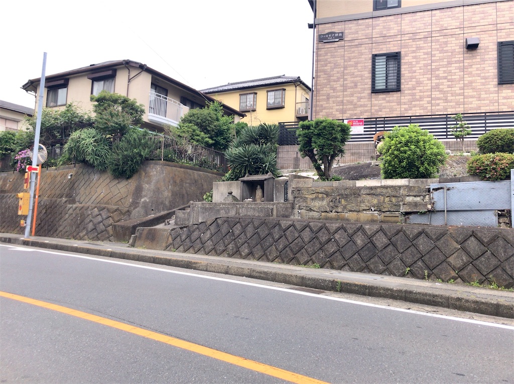 f:id:yokohamamiuken:20200603183729j:image