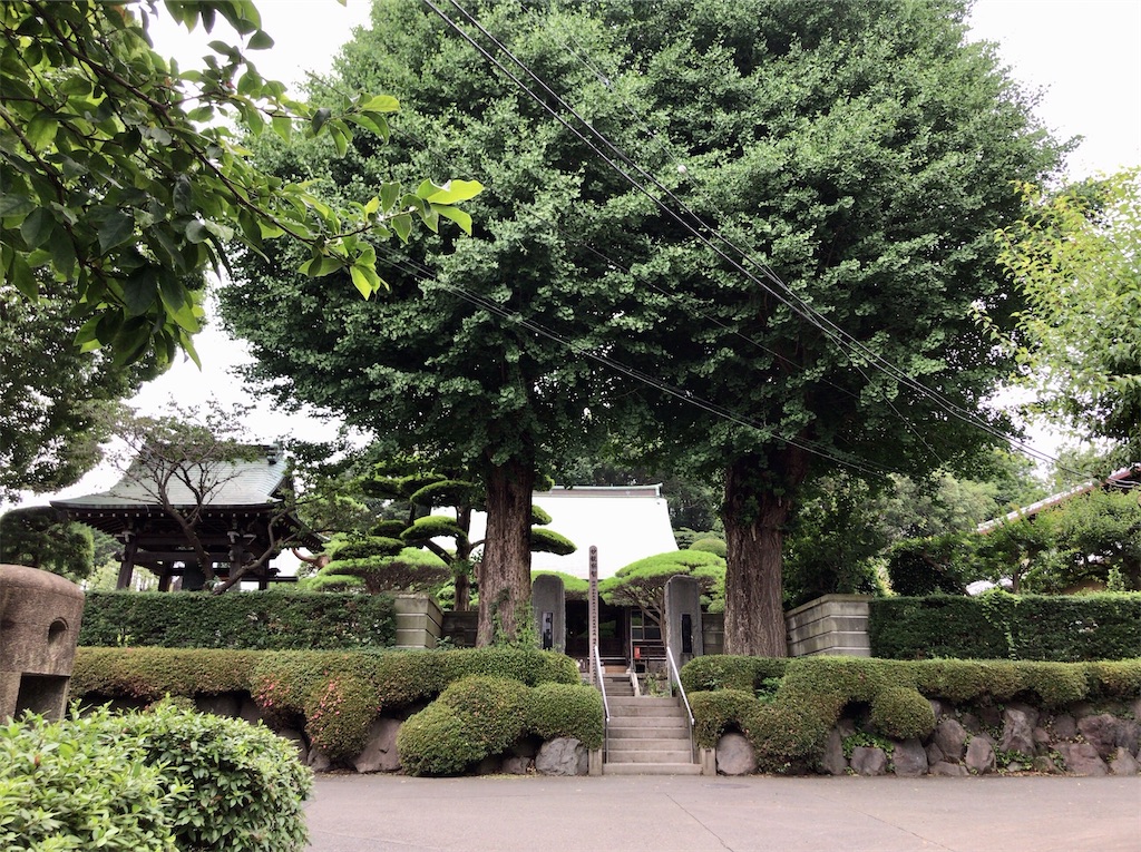 f:id:yokohamamiuken:20200625231350j:image f:id:yokohamamiuken:20200625231350j:image