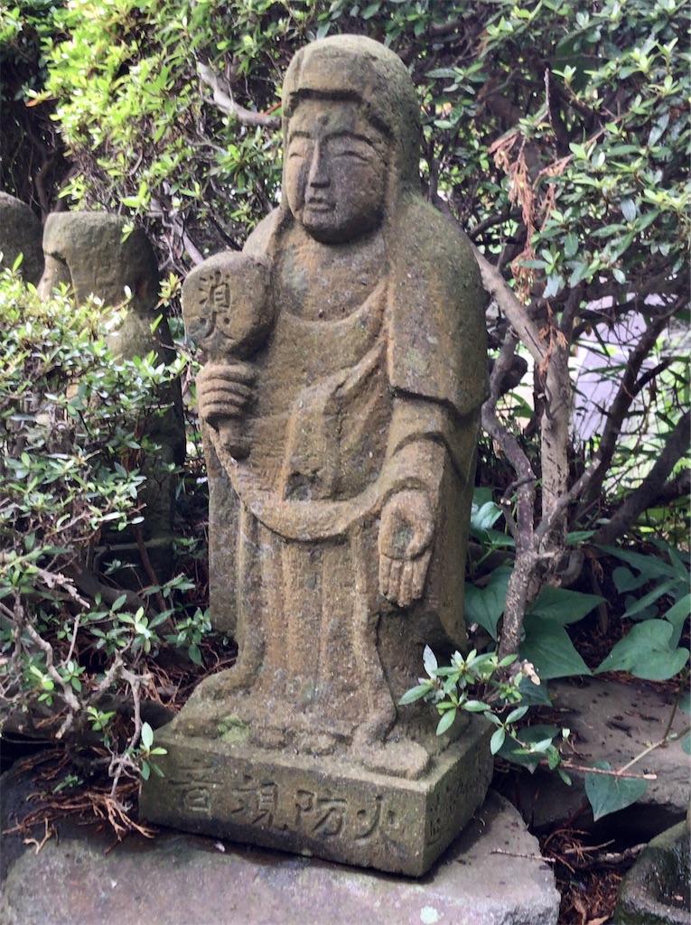 f:id:yokohamamiuken:20200625231701j:image