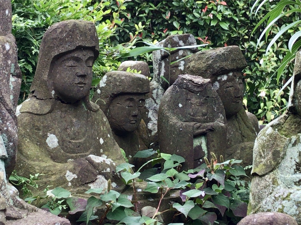 f:id:yokohamamiuken:20200625231705j:image