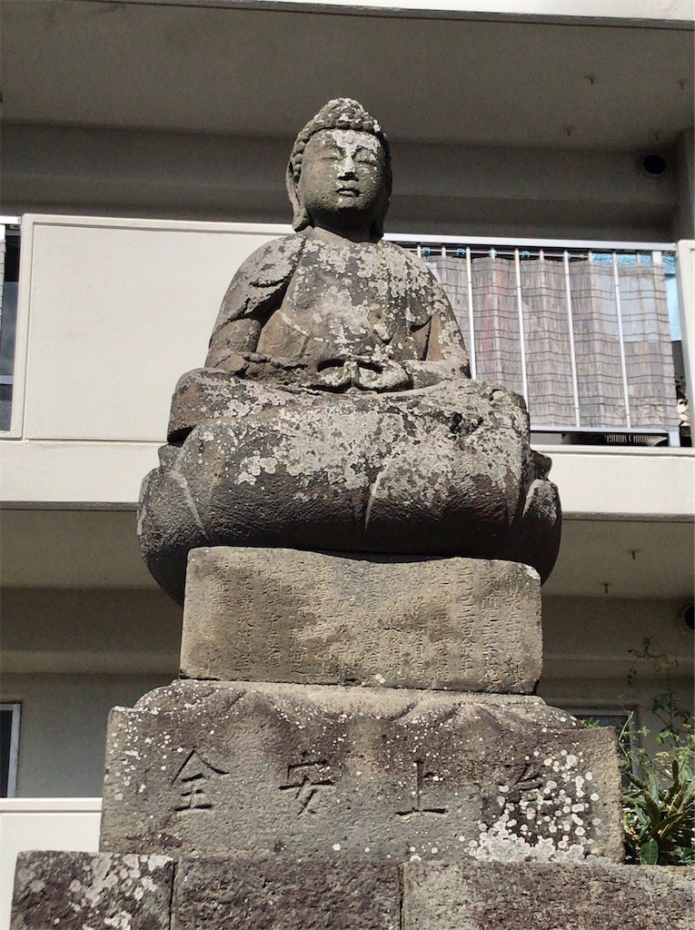 f:id:yokohamamiuken:20201023091529j:image