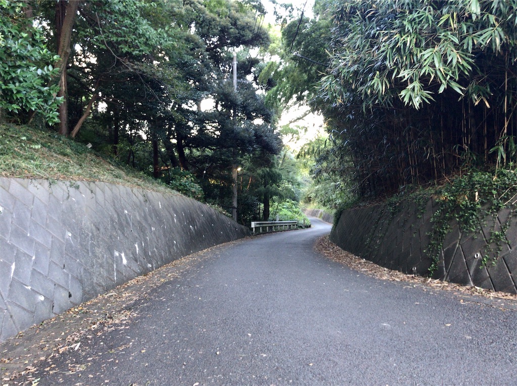 f:id:yokohamamiuken:20201023094231j:image