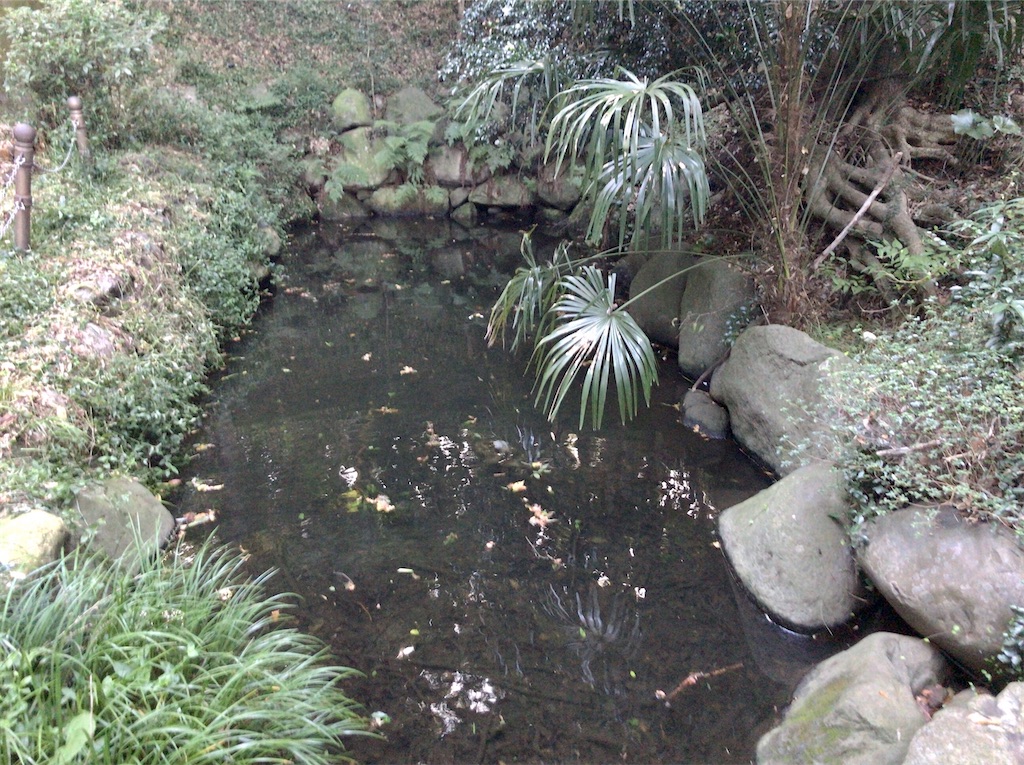 f:id:yokohamamiuken:20201023094249j:image