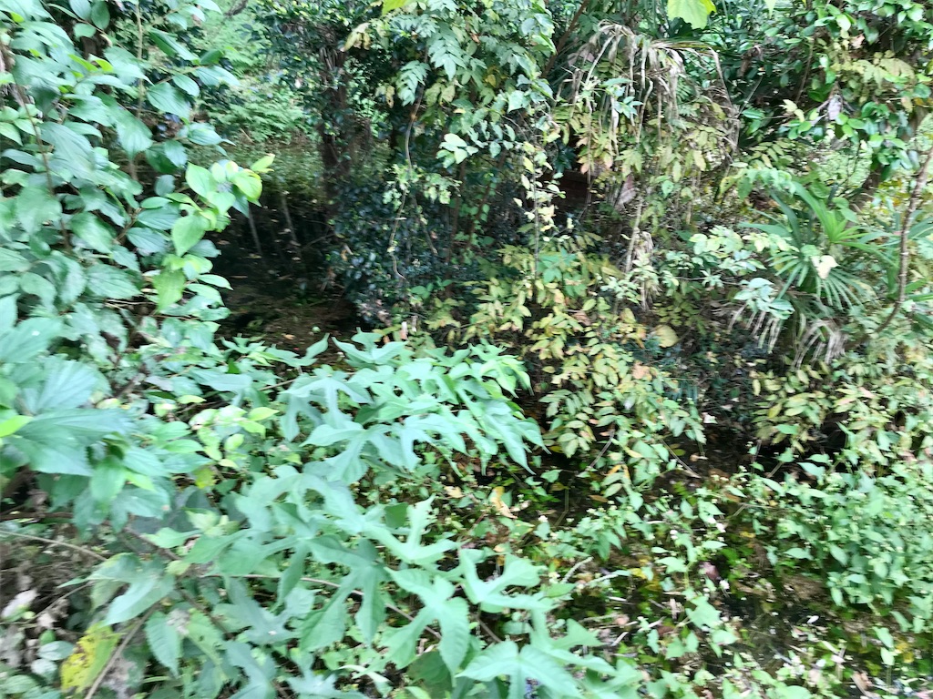 f:id:yokohamamiuken:20201023101253j:image f:id:yokohamamiuken:20201023101253j:image