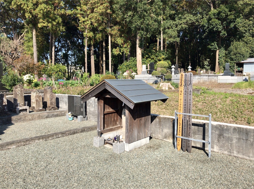 f:id:yokohamamiuken:20201116181458j:image f:id:yokohamamiuken:20201116181458j:image