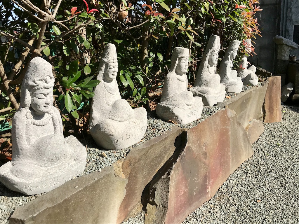 f:id:yokohamamiuken:20201116182732j:image f:id:yokohamamiuken:20201116182732j:image