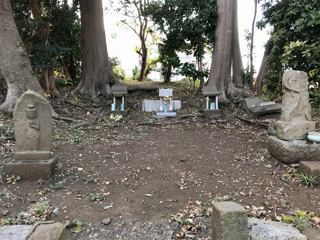 f:id:yokohamamiuken:20201116210248j:image