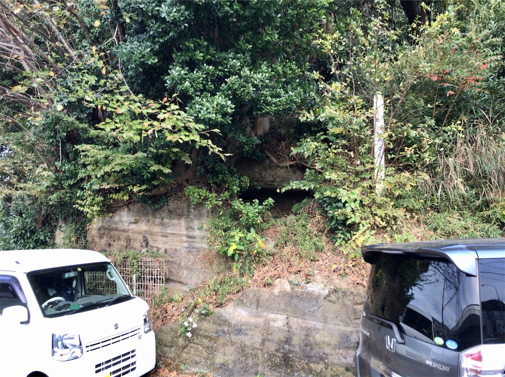 f:id:yokohamamiuken:20201127181840j:image