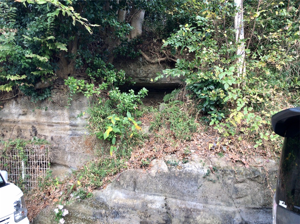 f:id:yokohamamiuken:20201127181844j:image