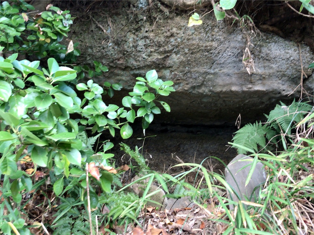 f:id:yokohamamiuken:20201127181852j:image