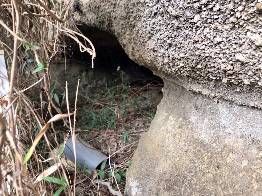 f:id:yokohamamiuken:20201127181855j:image