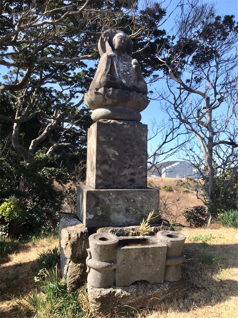 f:id:yokohamamiuken:20210202223623j:image