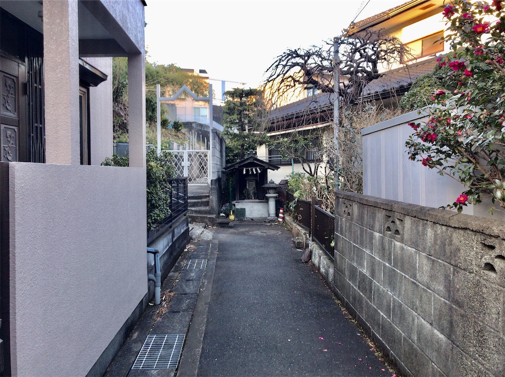 f:id:yokohamamiuken:20210204102156j:image