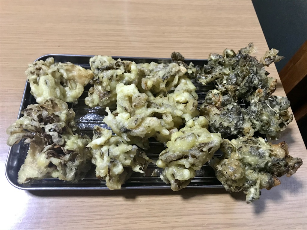 f:id:yokohamamiuken:20210302204457j:image