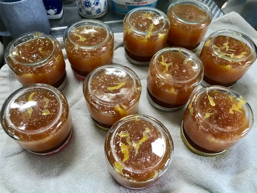 f:id:yokohamamiuken:20210409163344j:image