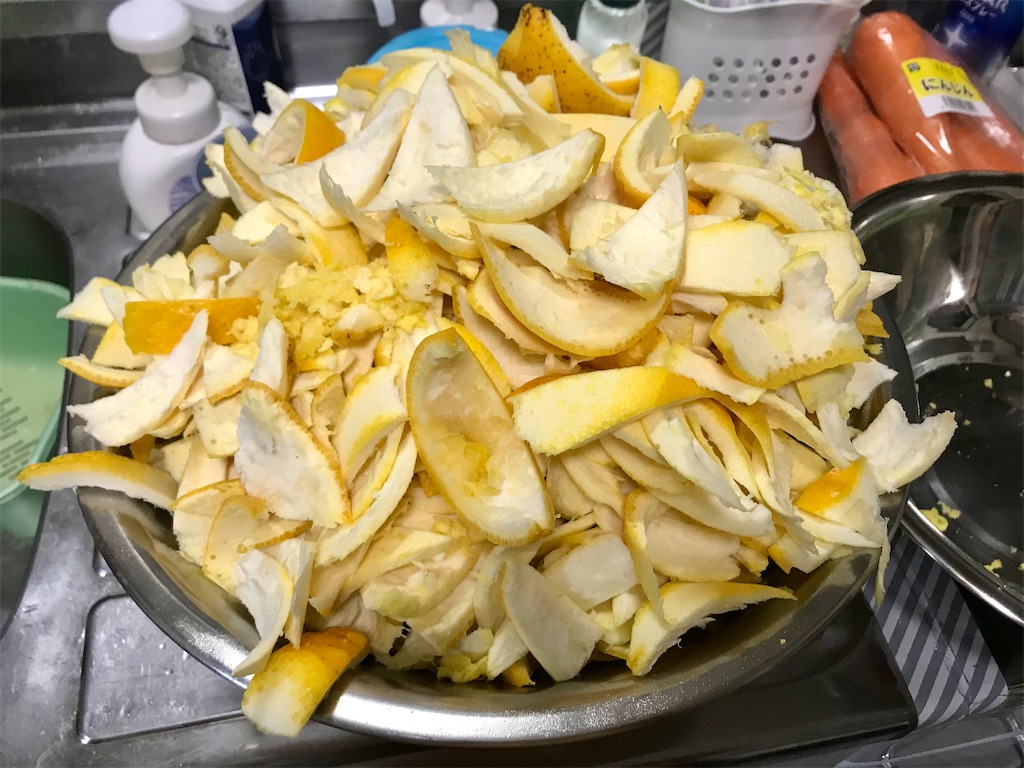 f:id:yokohamamiuken:20210409163348j:image