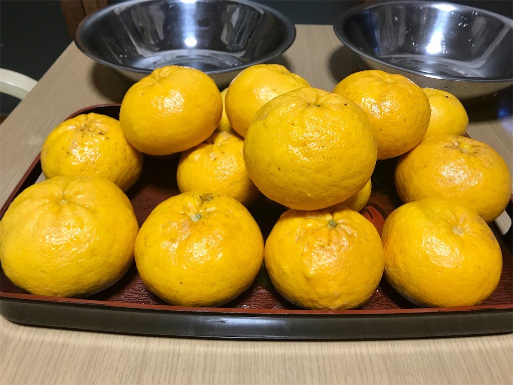 f:id:yokohamamiuken:20210409163400j:image