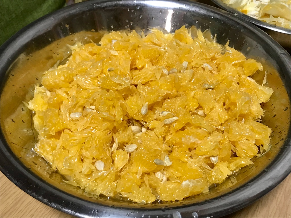 f:id:yokohamamiuken:20210409163408j:image