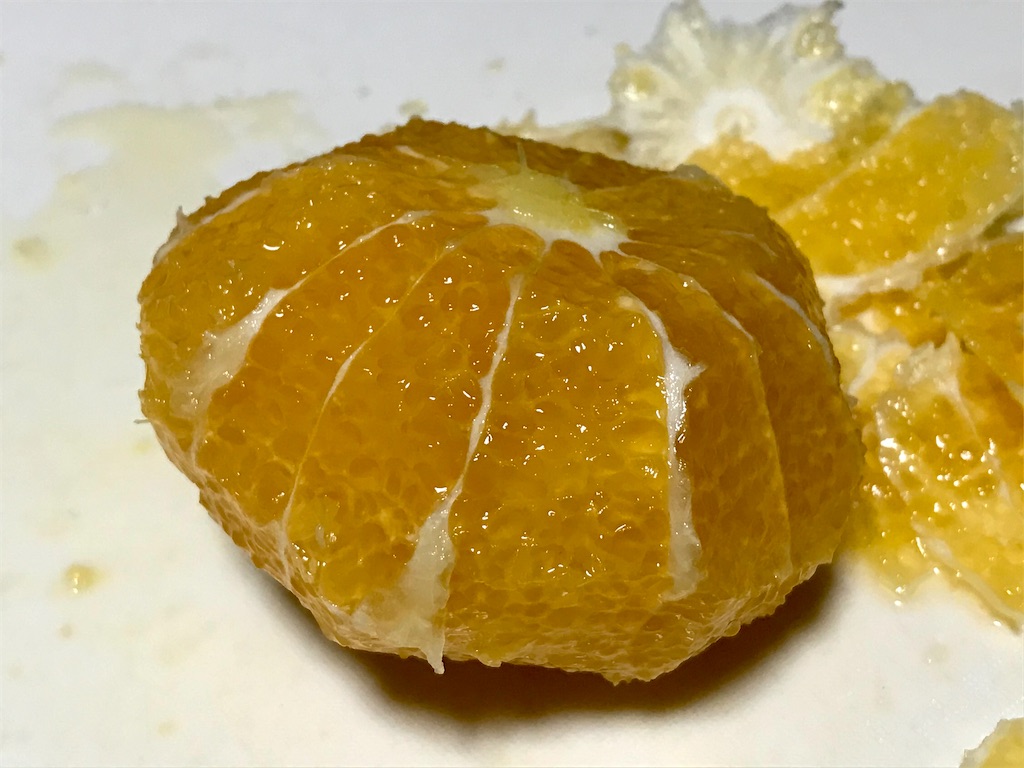 f:id:yokohamamiuken:20210409163419j:image