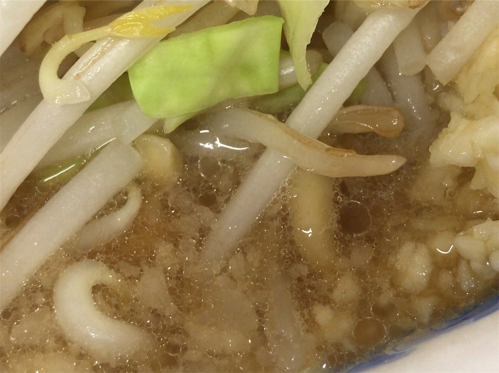 f:id:yokohamamiuken:20210411235618j:image
