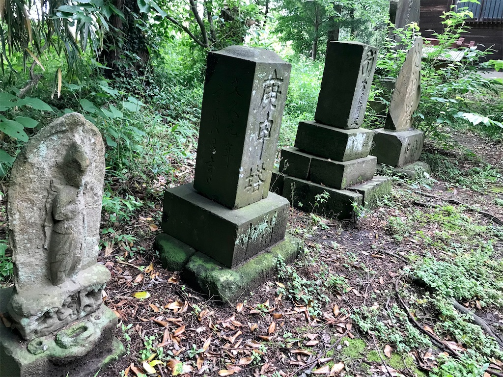 f:id:yokohamamiuken:20210520221918j:image f:id:yokohamamiuken:20210520221918j:image